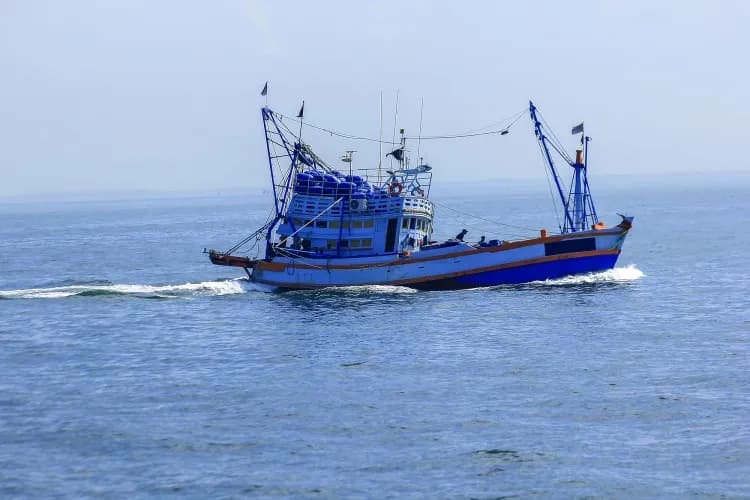 Kiedy można łowić dorsza na Bałtyku? Sprawdź ważne zasady i terminy