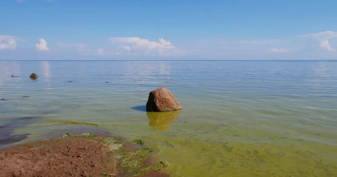 Dlaczego Bałtyk jest zanieczyszczony? Przyczyny i skutki dla ekosystemu