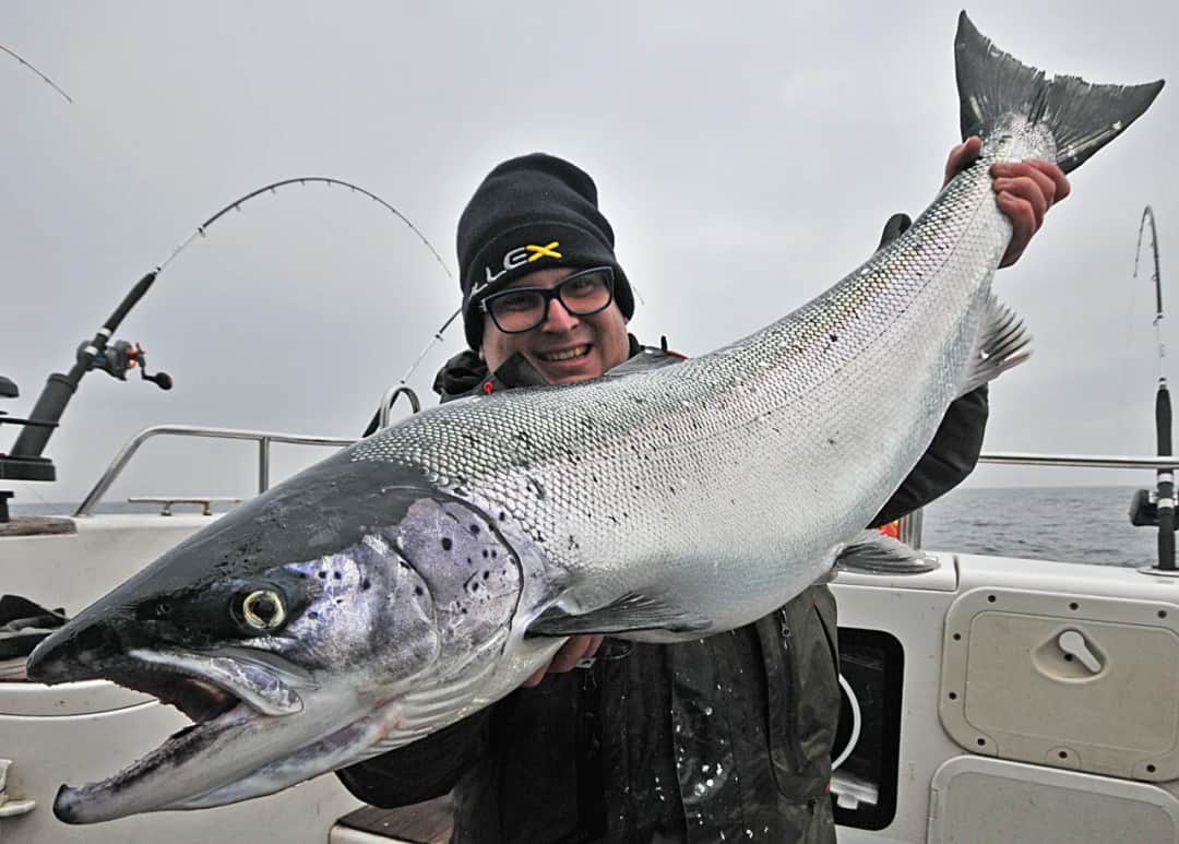 Czy łosoś występuje w Bałtyku? Fakty o jego zagrożeniu i ochronie