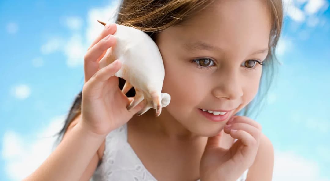 Dlaczego w muszlach słychać szum morza? Odkryj tajemnicę dźwięku