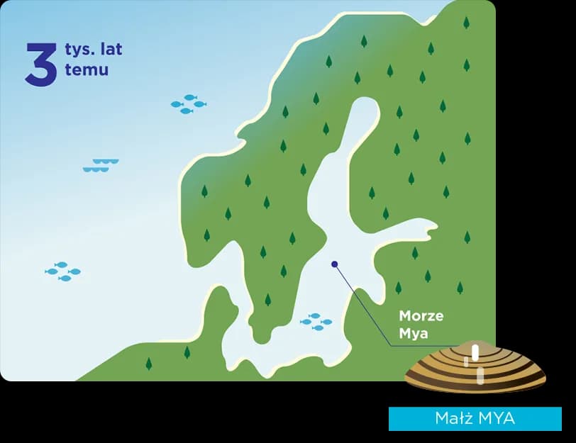 Do jakiego oceanu należy morze bałtyckie? Odkryj jego tajemnice