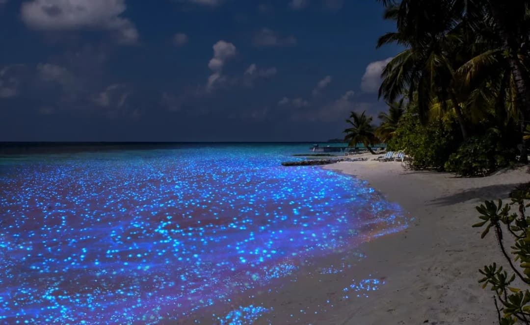 Morze gwiazd gdzie jest – odkryj najpiękniejsze miejsca na Malediwach