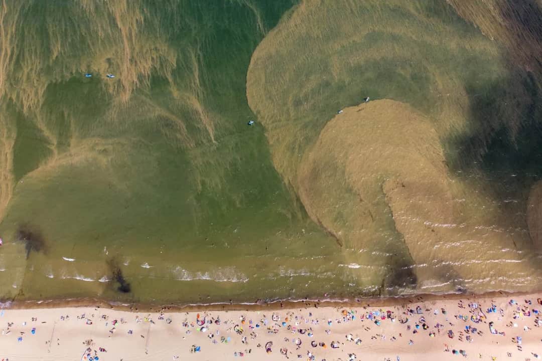 Ile rzek wpływa do Bałtyku i jak wpływają na jego ekosystem
