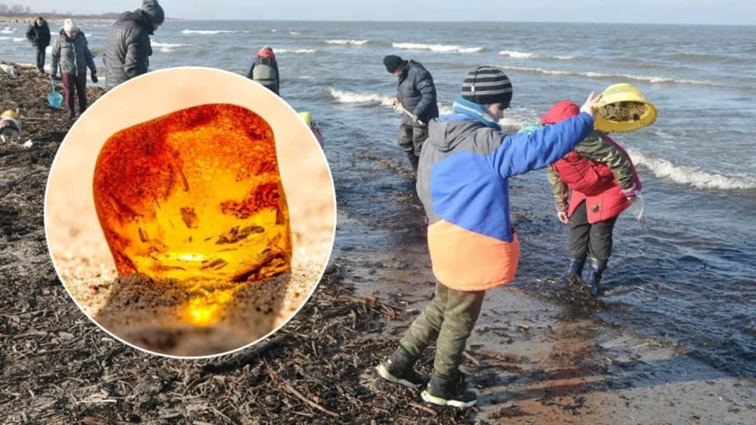 Jak znaleźć bursztyn nad Bałtykiem: skuteczne metody i najlepsze miejsca