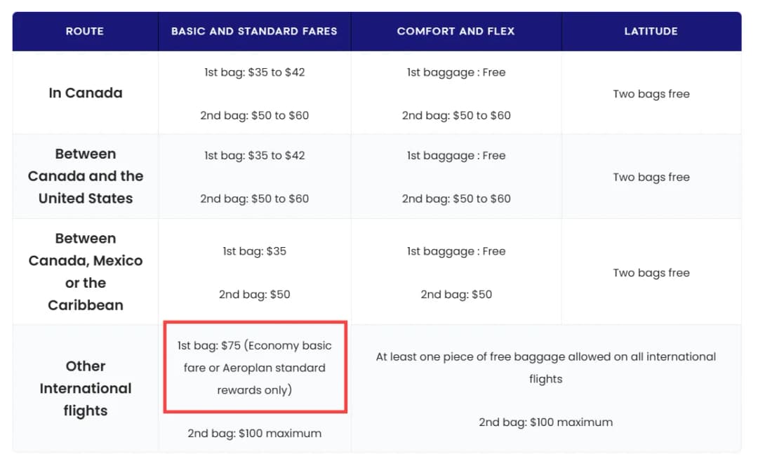 Ile kosztuje bagaż rejestrowany do USA? Zaskakujące opłaty i porady